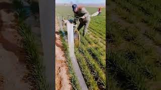 Transparent irrigation hose recycling process [upl. by Greerson849]