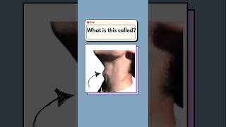 Can you name these body parts in english englishpractice dailyenglish quiz [upl. by Ynnob982]