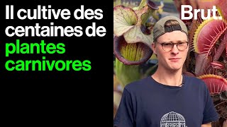 Plantes carnivores  Enzo nous ouvre sa plantation [upl. by Dennett477]