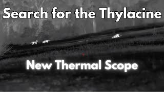 Thylacine Search Days 25  Infiray TS60 Thermal Scope Testing [upl. by Lilybelle278]