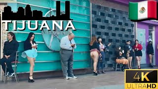 Tijuana In The Streets  Zona Norte Episode 2 [upl. by Nivrag]