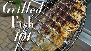 Grilled Whole Fish 🐟 Catch and Cook Cocktail Bluefish [upl. by Hadria466]