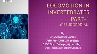 Locomotion in Invertebrates Part 1 [upl. by Leahpar]