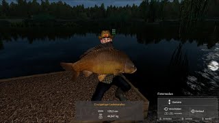 Fishing Planet  Weeping Willow Einzigartiger Lederkarpfen 44847kgUnique Leather Carp 98871 lb [upl. by Hardigg]