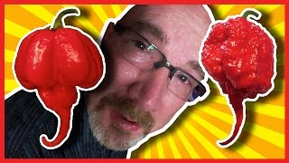 Carolina Reaper amp Scorpion Pepper Challenge a 200000th Subscriber Celebration [upl. by Habas181]