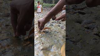 Finding Oysters From Muddy Soilshortsmudvideo [upl. by Auqenwahs915]