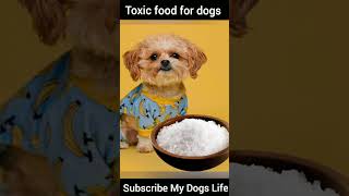 Toxic food for your Dog [upl. by Belford400]