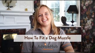 How To Fit a Dog Muzzle [upl. by Elawalo]