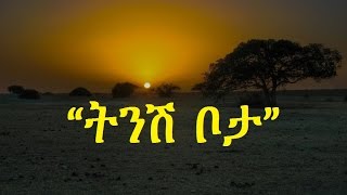 Ethiopia  Amharic poem Nebiy Mekonnen ነብይ መኮንን  Tinish Bota ትንሽ ቦታ [upl. by Zusman506]