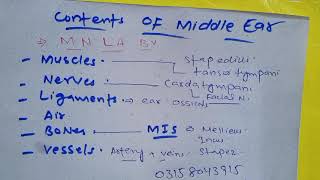 contents of Middle ear anatomy mnemonics [upl. by Anaitsirhc]