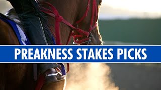 Preakness Stakes Expert gives picks and tips [upl. by Arde]