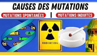 Comment se produisent les mutations Tout ce que vous devez savoir [upl. by Aerdnad]