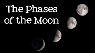 Phases of the Moon Astronomy and Space for Kids  FreeSchool [upl. by Renaldo898]