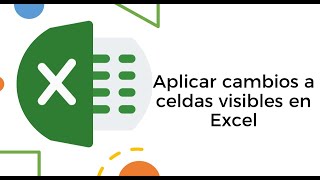 Aplicar cambios a celdas visibles en Excel [upl. by Damalas624]