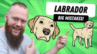 Mistakes Labrador Puppy Owners Make Everyday [upl. by Ellennahc715]