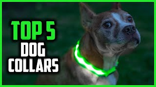 ✅Top 5 Best Glow In The Dark Dog Collars of 2024 [upl. by Garvin]