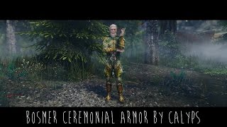 Skyrim Mod  Bosmer Ceremonial Armor [upl. by Nylrac]