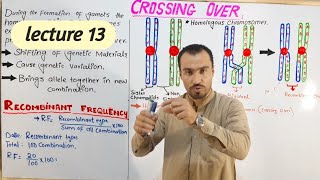 Crossing over amp recombinant frequency full detail lecture in hindi and urdu by Aizaz biology walla [upl. by Ardnael]