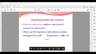 amphibolic nature of tca [upl. by Ellenoj370]