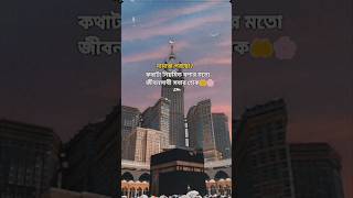 সবার ভাগ্যে এমন একজন জীবন সঙ্গী হোক 🥰🥀islamicsortvideo sorts sortfeed viralvideo islamiclactur [upl. by Nyasuh]