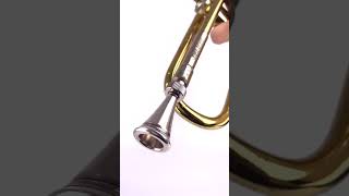 Add a French horn vibe to your trumpet🎺 trumpet kgumusic frenchhorn [upl. by Blondy]