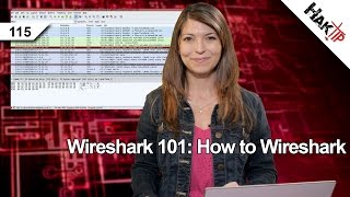 Wireshark 101 How to Wireshark Haktip 115 [upl. by Anaitat]