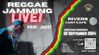 Prof joost live mix at the artfarm [upl. by Teahan]