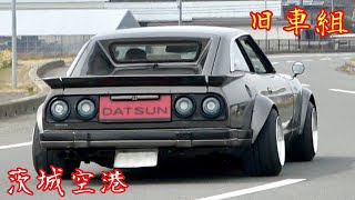 【茨城空港】旧車のイベント行ったよ‼️その4️⃣ [upl. by Aunson]