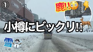 札幌→小樽☃️いきなり鹿‼︎進めば進むほど…😨小樽に行ってきた① [upl. by Aitselec]