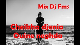 Cheikha djenia Mix Ouine neghda Dj Fms [upl. by Oliva]