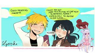 quotChat Noir In A Nutshellquot Miraculous Ladybug Comic Dub [upl. by Mok]