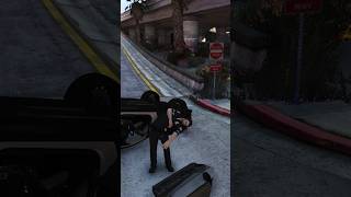 Ha9 mcha 😂😂 gtarp roleplay gta gtav fivem [upl. by Ahsitruc]