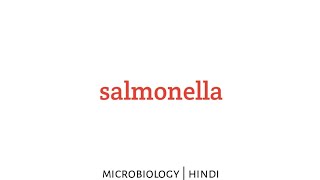 Salmonella  microbiology lecture in Hindi [upl. by Denney]