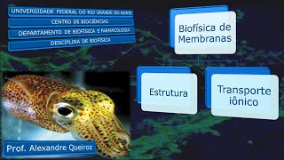 Biofísica de Membranas [upl. by Nerb]