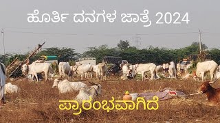 Beginning of Horti cattle fair 2024  Khillari mela [upl. by Cost]