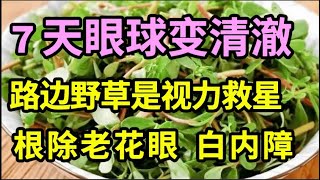 老了害怕被白内障、老花眼缠上？路边一种野菜拿来熬粥喝，7天眼球就能变清澈，再小的字都能看清，视力比10岁小孩还厉害！【本草养生大智慧】 [upl. by Elmo]