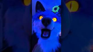 Fox noises 🦊 furry fursuit cosplay [upl. by Zipporah]