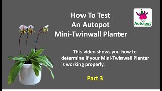 Episdoe 94  Testing Twinwall Planters Part 3 [upl. by Savdeep]