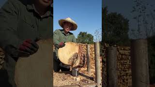 Splitting process of wood with coneshaped drill bit [upl. by Qirat617]