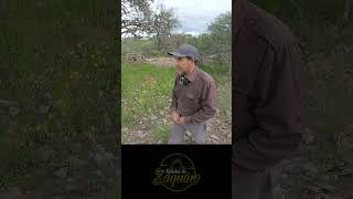 ESTAS RUINAS SON HISTORIA shortvideo paranormales paranormal recorridoparanormal [upl. by Dyan]