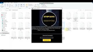 How to decrypt nitz ransomware virus  NITZ NIWM  NIFR Decryption Tool  STOP DJVU DECRYPTOR [upl. by Annawd84]