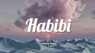 Habibi Remix slowedreverb One hour [upl. by Micah]