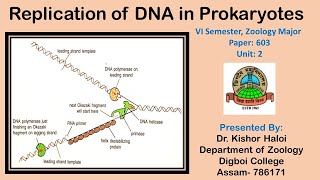 Replication of DNA in Prokaryotes II Watson Cricks Semiconservative Replication II Meselson amp Stahl [upl. by Anatlus68]