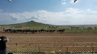 Mongolian Horse Riding Performance mongolia horse riding archery khan [upl. by Lacey]