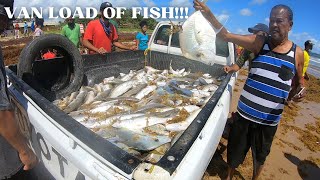 PULLING SEINE ON MAYARO BEACH  Traditional Fishing In Trinidad amp Tobago Caribbean DRONE FOOTAGE [upl. by Sonitnatsnoc25]