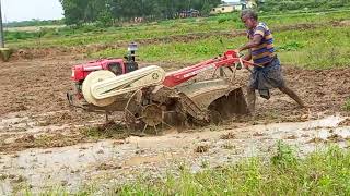 Vst shakti 130di 13hp power tiller working on Raice cultivation powertiller tillervideo [upl. by Kciregor]