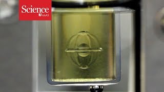 Watch 3D printed objects appear in the middle of a gel [upl. by Zaneski550]