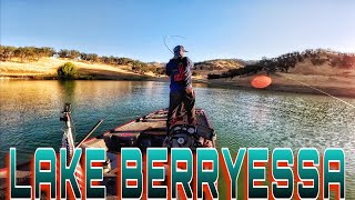 He finally made it back Lake Berryessa ca [upl. by Raffarty]