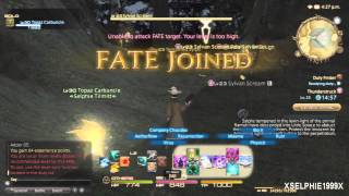 Final Fantasy XIV A Realm Reborn  Twin Serpents Grand Company Hunting Log Rank 1  110 [upl. by Noreen]