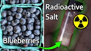 Extracting Radioactive Salt from Chernobyl Blueberries [upl. by Atselec]